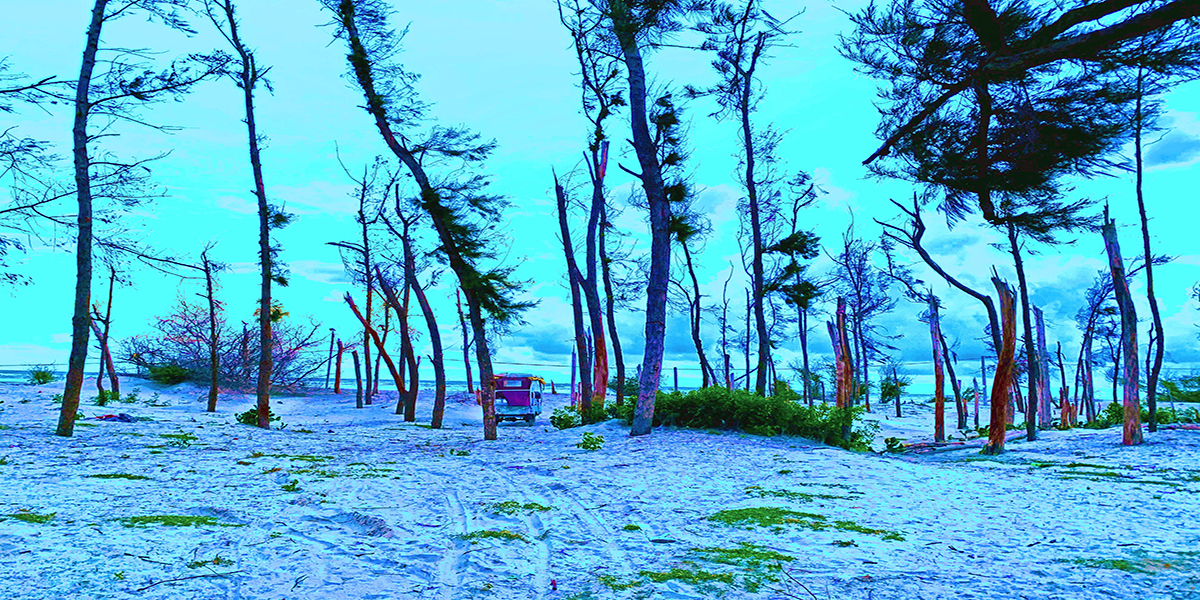 Enjoy the walk on Bakkhali Beach.