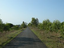 Road